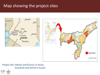 Formalizing the informal: Experiences from a training and certification scheme in the dairy sector in Assam (India) and Kenya