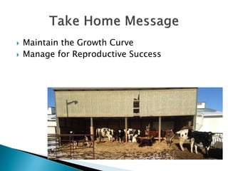  Maintain the Growth Curve
 Manage for Reproductive Success
 