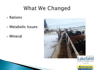  Rations
 Metabolic Issues
 Mineral
 