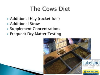  Additional Hay (rocket fuel)
 Additional Straw
 Supplement Concentrations
 Frequent Dry Matter Testing
 