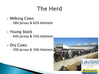  Milking Cows
◦ 38% Jersey & 62% Holstein
 Young Stock
◦ 44% Jersey & 55% Holstein
 Dry Cows
◦ 70% Jersey & 30% Holstein
 