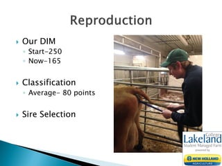  Our DIM
◦ Start-250
◦ Now-165
 Classification
◦ Average- 80 points
 Sire Selection
 