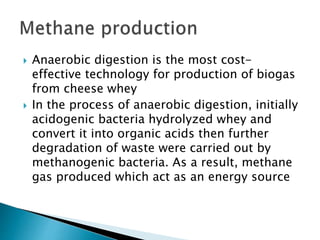  Anaerobic digestion is the most cost-
effective technology for production of biogas
from cheese whey
 In the process of anaerobic digestion, initially
acidogenic bacteria hydrolyzed whey and
convert it into organic acids then further
degradation of waste were carried out by
methanogenic bacteria. As a result, methane
gas produced which act as an energy source
 
