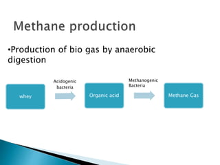 whey Organic acid Methane Gas
Acidogenic
bacteria
•Production of bio gas by anaerobic
digestion
Methanogenic
Bacteria
 