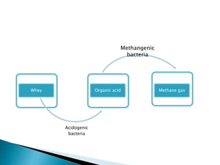 Whey Organic acid Methane gas
Acidogenic
bacteria
Methangenic
bacteria
 