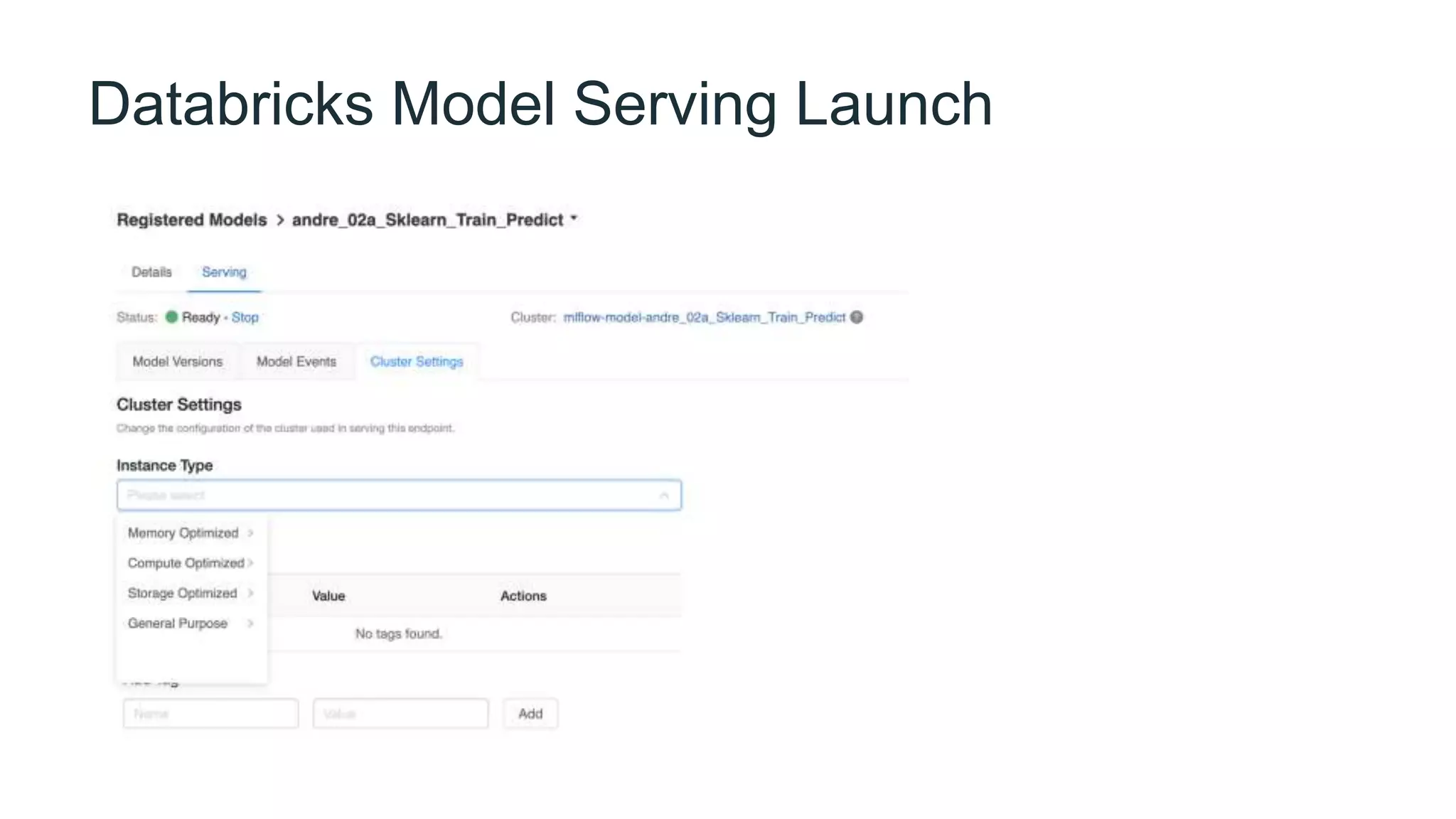 Databricks Model Serving Launch
 