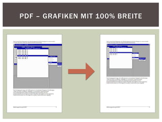 PDF – GRAFIKEN MIT 100% BREITE
 