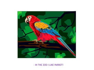 - IN THE ZOO I LIKE PARROT!
 