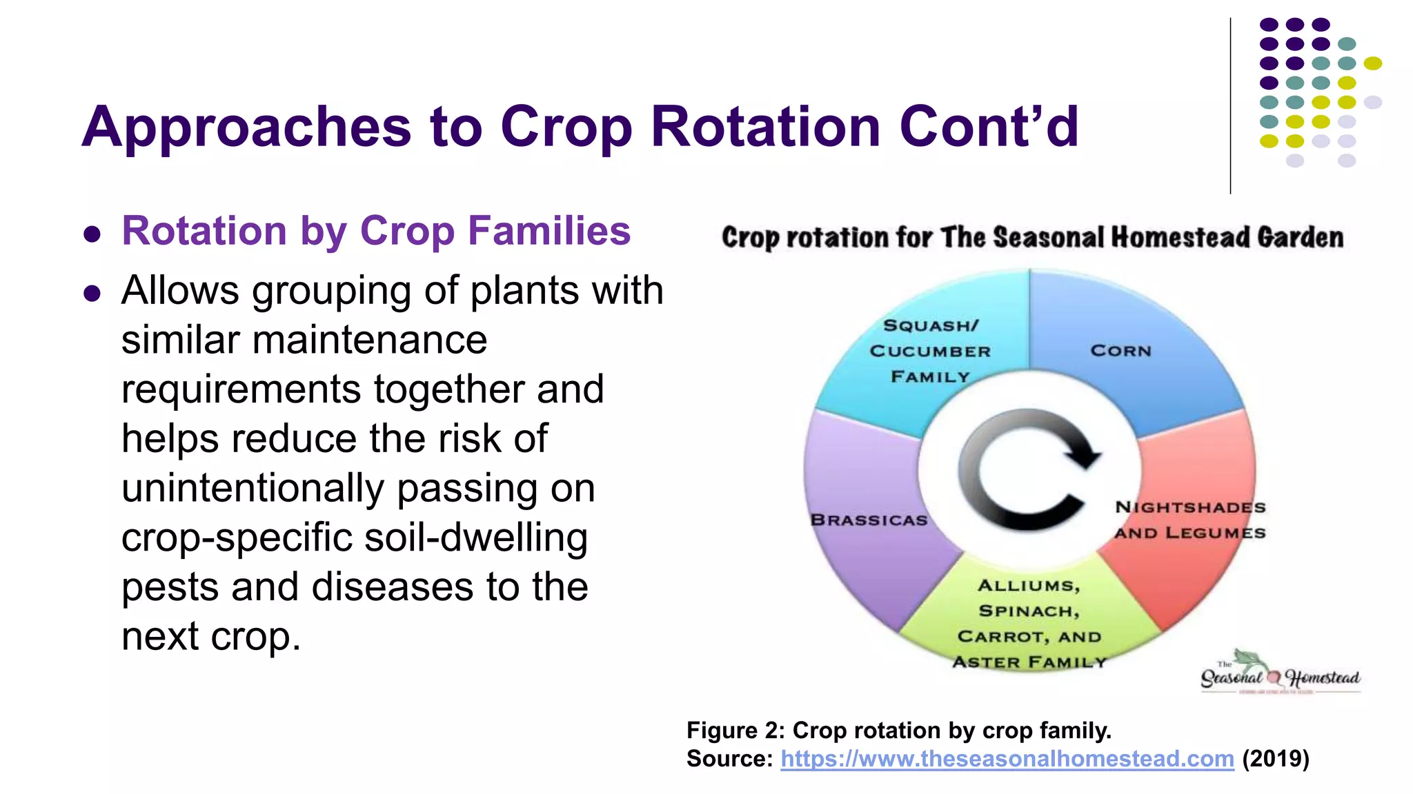 Crop Rotation | PPTX