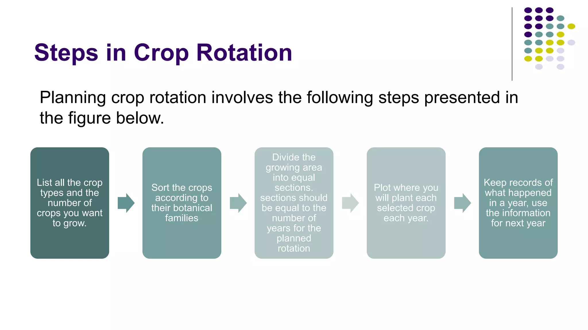 Crop Rotation | PPTX