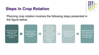 Crop Rotation | PPTX