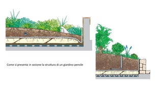 Come si presenta in sezione la struttura di un giardino pensile
 