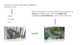 Ed è sicuramente uno dei metodi più utilizzati e di
moda per portare aree verdi in luoghi non
predisposti naturalmente, come centri città, ecc.
Consiste in spazi verdi coltivati non sul
terreno, ma su:
• Edifici
• Terrazze
• Tetti
 