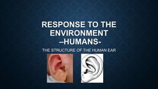 RESPONSE TO THE
ENVIRONMENT
–HUMANS-
THE STRUCTURE OF THE HUMAN EAR
 