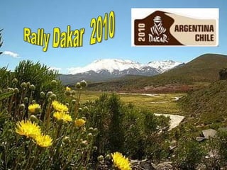 Rally Dakar  2010 