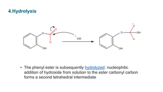 • The phenyl ester is subsequently hydrolyzed: nucleophilic
addition of hydroxide from solution to the ester carbonyl carbon
forms a second tetrahedral intermediate
4.Hydrolysis
 