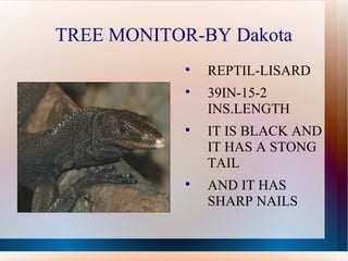 TREE MONITOR-BY Dakota ,[object Object],[object Object],[object Object],[object Object]