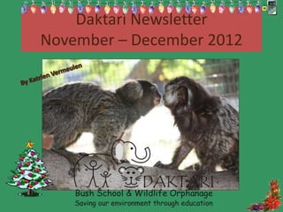 Daktari Newsletter
November – December 2012
 