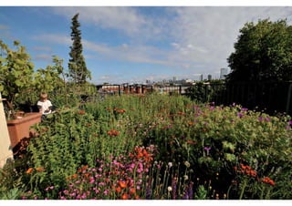 Daktuin Astridholzer 20120709 E5