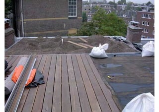 Daktuin Astridholzer 20120709 E5