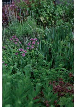 Daktuin Astridholzer 20120709 E5