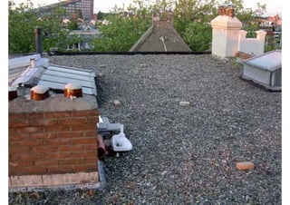 rooftop garden _ green roof