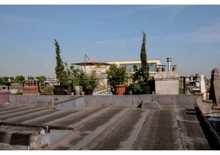 rooftop garden _ green roof