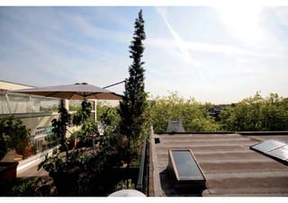 rooftop garden _ green roof