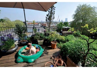 rooftop garden _ green roof