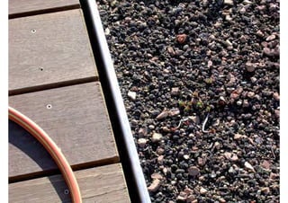 rooftop garden _ green roof