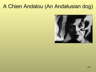 107
A Chien Andalou (An Andalusian dog)
 