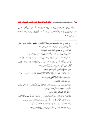 الدلائل الوفية في تحقيق عقيدة (النووي)؛ أسلفية أم خلفية