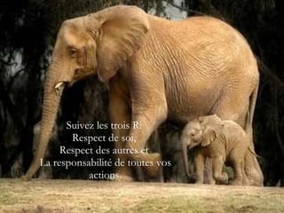 Suivez les trois R:  Respect de soi,  Respect des autres et  La responsabilité de toutes vos actions. 