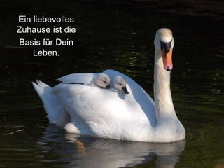 Ein liebevolles Zuhause ist die Basis für Dein Leben. 