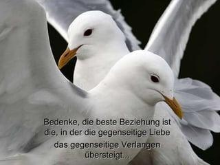 Bedenke, die beste Beziehung ist die, in der die gegenseitige Liebe  das gegenseitige Verlangen übersteigt... 