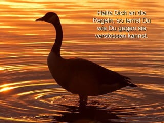 Halte Dich an die Regeln, so lernst Du wie Du gegen sie verstossen kannst. 