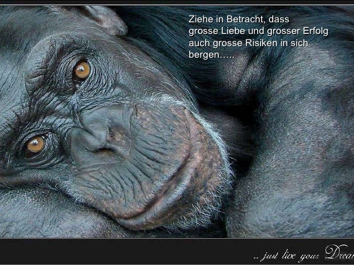Get Dalai lama lebensweisheiten For Free