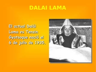 DALAI LAMA El actual Dalái Lama es Tenzin Gyatsoque nació el 6 de julio de 1935. 