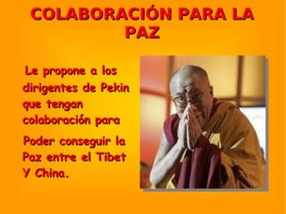 COLABORACIÓN PARA LA   PAZ Le propone a los dirigentes de Pekin que tengan colaboración para Poder conseguir la Paz entre el Tibet Y China. 