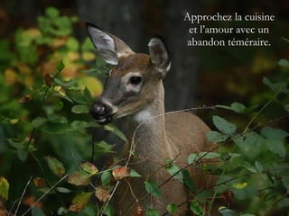 Approchez la cuisine et l’amour avec un abandon téméraire. 