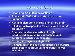 Aksesuar Dalak
 İnsanların %10-30 unda rastlanır.
 Bunlarında %60 ında tek aksesuar dalak
  bulunur.
 Kanlanmaları genellikle splenik arterdendir.
 Sıklıkla Gastrosplenik arter ve dalak hilusunda
  bulunurlar.
 Bununla beraber destekleyici bağlar
  içinde,pelviste,omentum ve hatta erkekte
  scrotum içindede bulunabilirler.
 Ana organla aynı işlevi görürler.
 Splenektomiyi takiben unutulmuş bir aksesuar
  dalak patolojik durumun nüks etmesine yol
  açacaktır.
 