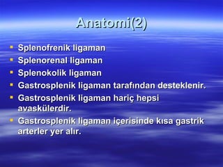 Anatomi(2)
 Splenofrenik ligaman
 Splenorenal ligaman
 Splenokolik ligaman
 Gastrosplenik ligaman tarafından desteklenir.
 Gastrosplenik ligaman hariç hepsi
  avaskülerdir.
 Gastrosplenik ligaman içerisinde kısa gastrik
  arterler yer alır.
 