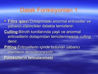 Dalak Fonksiyonları 1
 Filtre işlevi:Dolaşımdaki anormal eritrositler ve
  yabancı cisimcikler dalakta temizlenir.
Culling:Bilroth kordlarında yaşlı ve anormal
  eritrositlerin dolaşımdan temizlenmesine culling
  denir.
Pitting:Eritrositlerin içinde bulunan yabancı
  cisimlerin temizlenmesidir.
Partiküllerin temizlenmesi
 