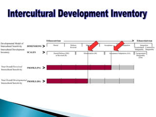 Intercultural Development Inventory 