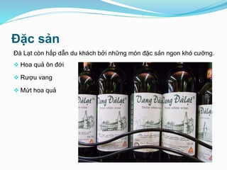 Đặc sản
Đà Lạt còn hấp dẫn du khách bởi những món đặc sản ngon khó cưỡng.
 Hoa quả ôn đới
 Rượu vang
 Mứt hoa quả
 
