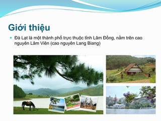 Giới thiệu
 Đà Lạt là một thành phố trực thuộc tỉnh Lâm Đồng, nằm trên cao
nguyên Lâm Viên (cao nguyên Lang Biang)
 