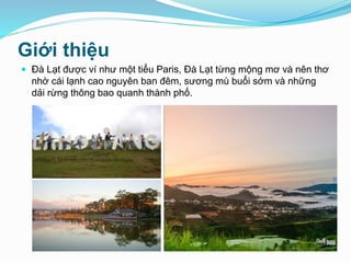 Giới thiệu
 Đà Lạt được ví như một tiểu Paris, Đà Lạt từng mộng mơ và nên thơ
nhờ cái lạnh cao nguyên ban đêm, sương mù buổi sớm và những
dải rừng thông bao quanh thành phố.
 