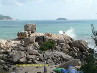 Còn đâu đá chồng bơ-vơ !
 