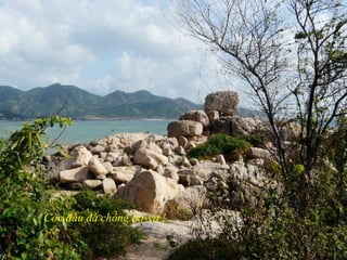 Còn đâu đá chồng bơ-vơ !
 