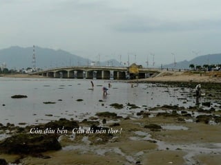 Còn đâu bến Cầu đá nên thơ !
 